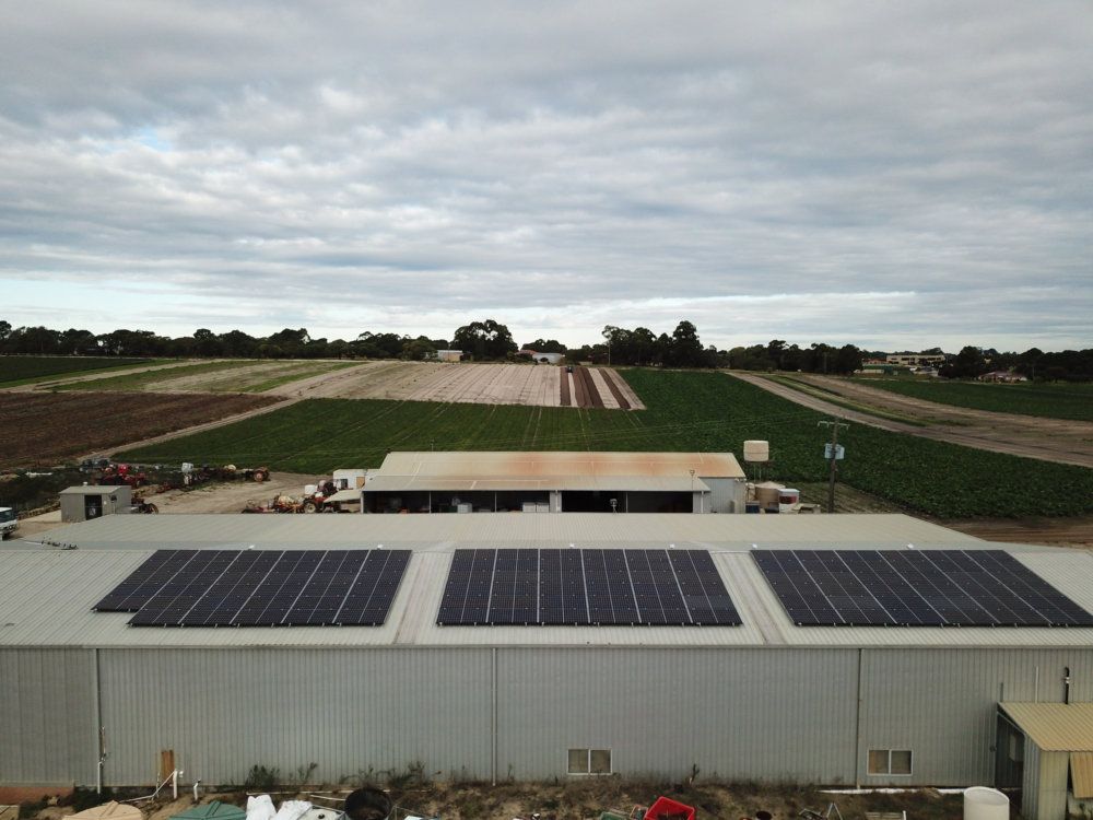 Lansdale Strawberry Farm shed with three solar arrays, fields behind