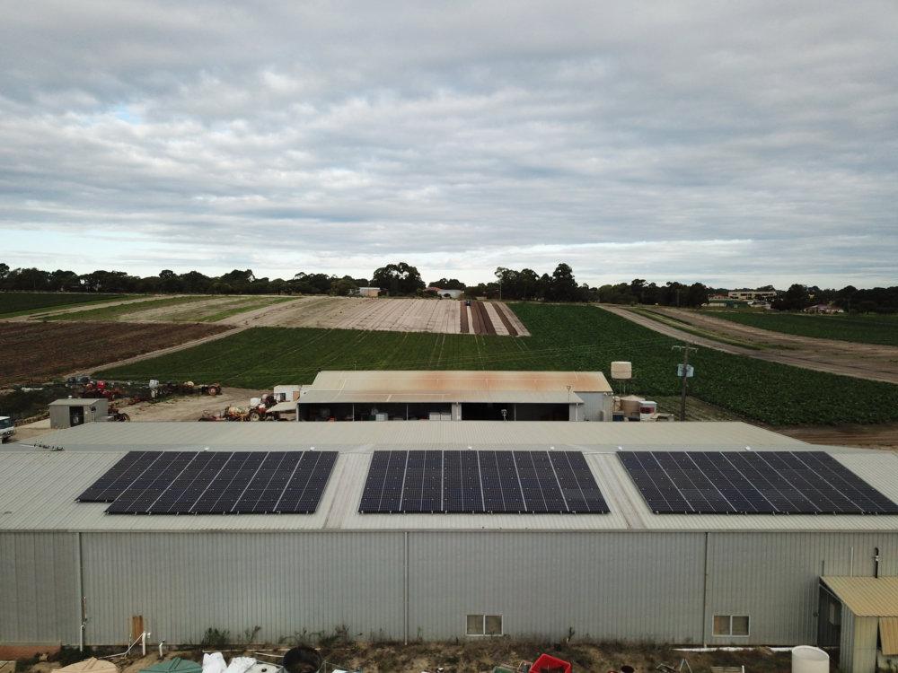 Ground mounted solar array installed by Next Power